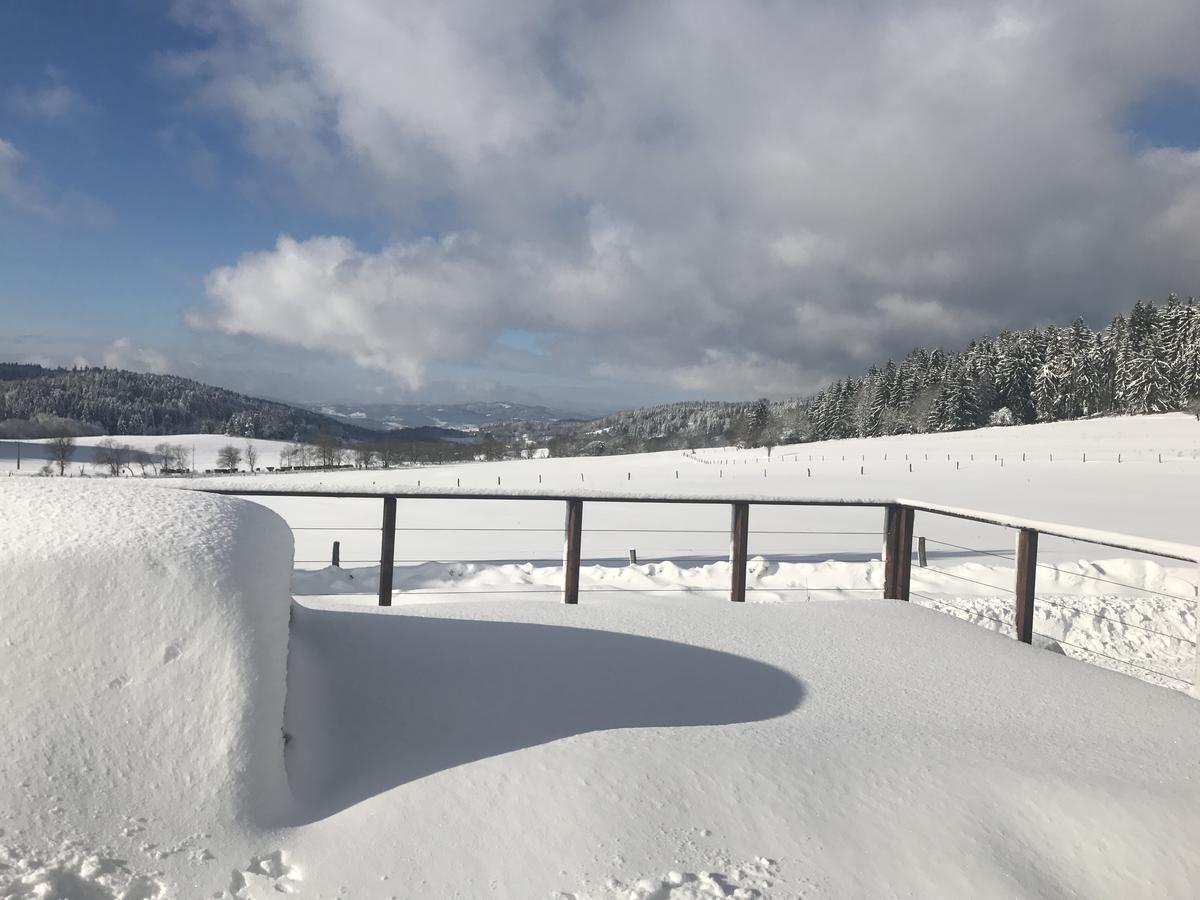 Holiday home Pasecna - Lipno *